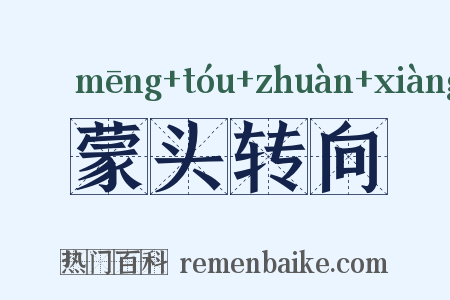 蒙头转向是什么意思的图片